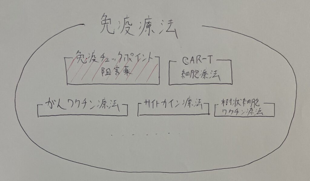 免疫療法という枠組みの中に、たくさんの種類の治療があることを説明した画像（例えば免疫チェックポイント阻害薬）